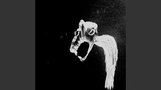 Decay