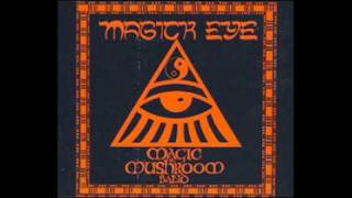 Magic Mushroom Band - Set The Controls {Pink Floyd}