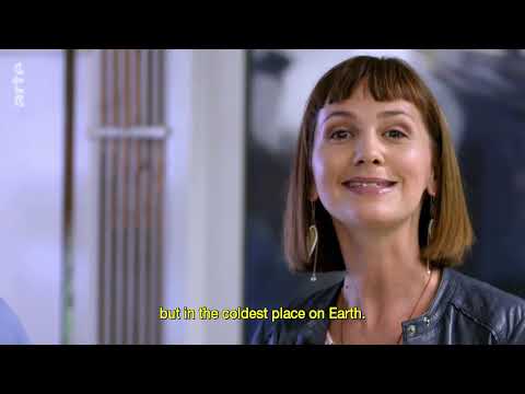 Project Moon 078162 018 A