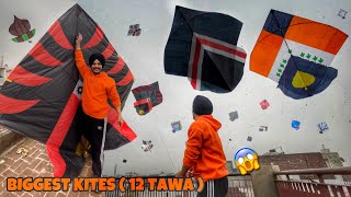 Flying Kites On Sunday 😱 *12 TAWA* Patangbazi  