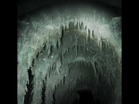 Sydney Valette - The Healer ft. Bernard (Official Video)