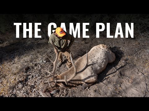 THE GAME PLAN - A Nevada Late Season Elk Hunt
