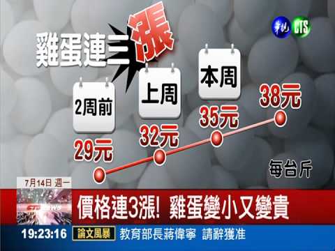 雞隻太熱沒食慾 雞蛋變小又變貴