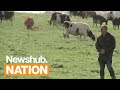 Rural ACT MP Mark Cameron shares love story & experiences with depression | Newshub Nation Backstory