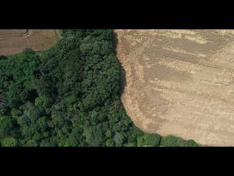 Mazde - If Noone Could See ft. Young Naughty Soul (official visualiser)