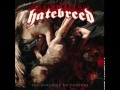 HATEBREED  ,                       Idolized And Vilified  \M/ JAKE \M/
