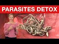 3 PARASITES You DON'T Want To HAVE | Parasite Cleanse Detox | Dr. Janine