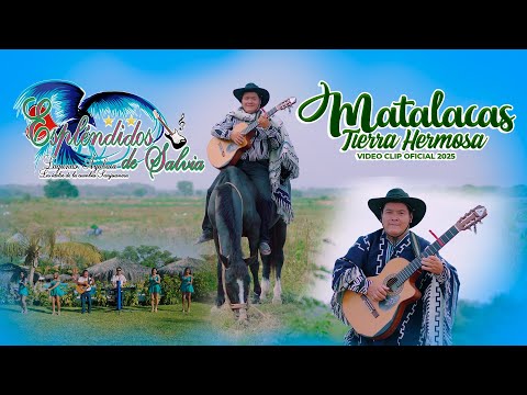 Matalacas Tierra Hermosa _ Esplendidos de Salvia _ Video Clip Oficial 2025