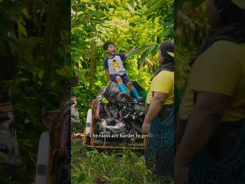 Preserving a Legacy in Cacao | Hacienda RC Mexico