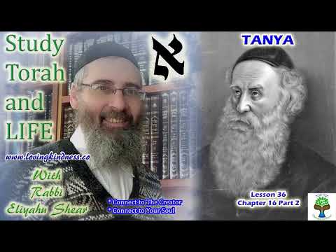 Lessons in Tanya - Lesson 36 - Chapter 16 Part 2 - The Beinoni Who Loves With An Intellectual Love