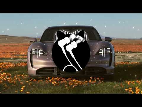 Henri Werner - Buried Alive (ft. Salvo) (Bass Boosted)