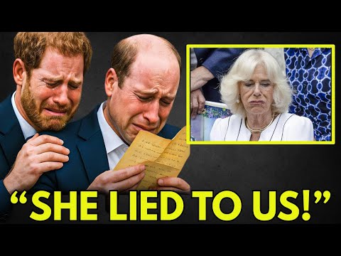 Princess Diana’s Lost Letter to Prince William Finally Revealed