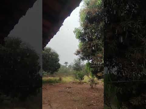 🇧🇷 SÃO JOÃO EVANGELISTA, MINAS GERAIS, 03/09/2026