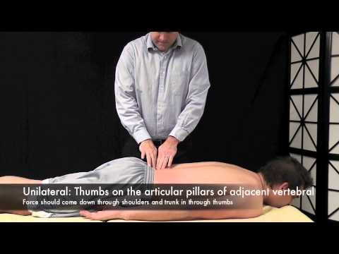 Lumbar Instability - Physiopedia