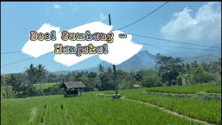Download lagu Doel Sumbang - Hanjakal mp3 Download lagu Doel Sumbang - Hanjakal mp3