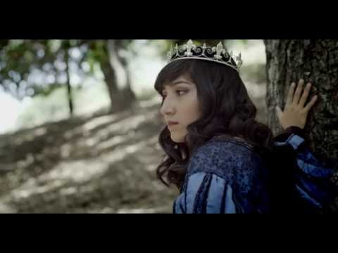 Book Trailer: Stray by Elissa Sussman