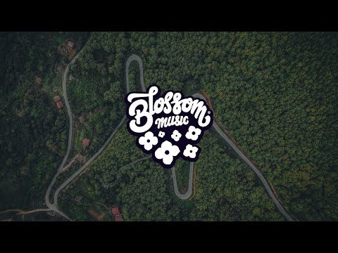 Endless Journey - lofi hiphop mix