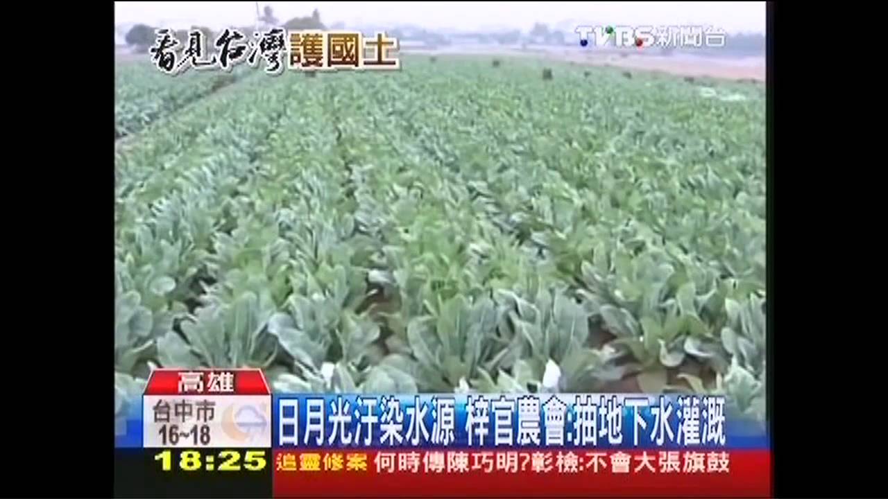 高雄水脈遭汙染 菜兩週禁採、鱸魚死