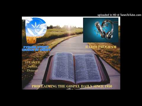 July 18, 2022 - Lessons From A Wasp Sting