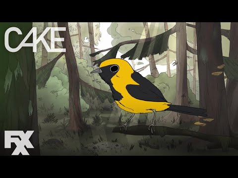 Joe Bennett Collection - Birds | Cake | FXX