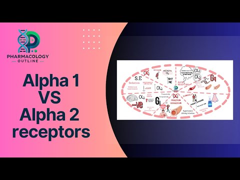Alpha Receptors Explained: Alpha-1 vs Alpha-2 | Pharmacology Made Simple | whiteboard animation
