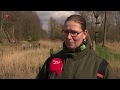 Extra veel wandelaars in de natuur in Flevoland