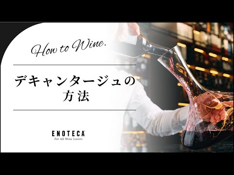 フィロダクティルス キアンティについて詳しく解説