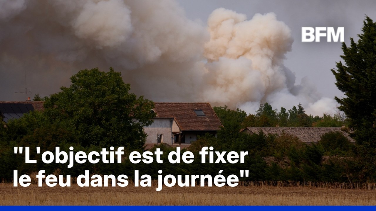 Incendies de Fontainebleau: le feu de la forêt est "contenu" mais pas encore "fixé"