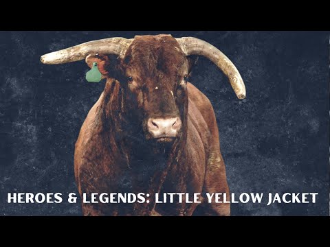 Heroes and Legends of the PBR: Little Yellow Jacket