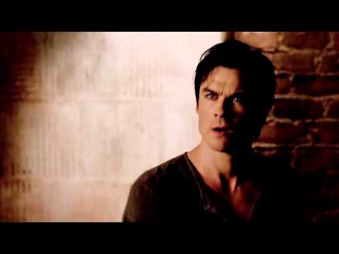 JUNGLE {Elena Gilbert  & Damon Salvatore}