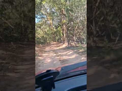 Chegando na cachoeira do Cervo, proximo a Palmeiras de Goiás.