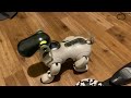 Aibo ERS7 M3 "Murphy" - Condition and Motion November 2022
