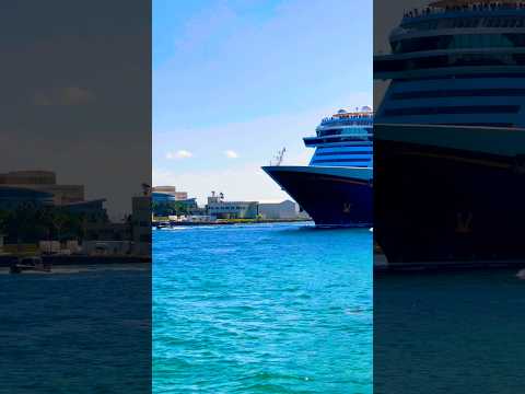 Thumbnail for Disney Dream 🛳️#like #share #comment #subscribe #cruiseship #cruise #vacation #shorts #short #video