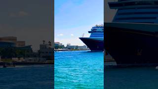 Disney Dream 🛳️#like #share #comment #subscribe #cruiseship #cruise #vacation #shorts #short #video