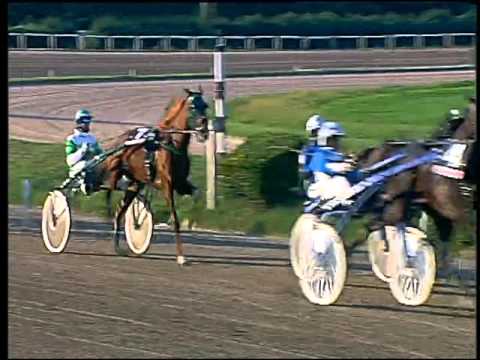 Trotto 15/11/2015 - 2° corsa