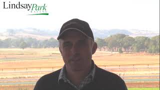 Lindsay Park Stable Update   7 Mar 2019