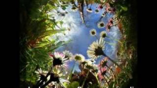 Arnaldo Antunes - A casa é sua (com legendas)