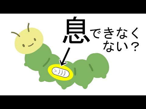 鶏に寄生虫がいるかどうかはどうすればわかりますか?これらは決して無視してはいけない7つの症状です。  庭園