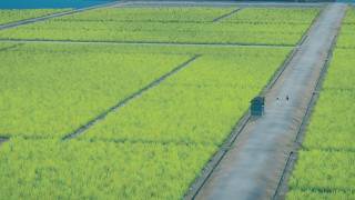 突発ノープランラジオ【雑談】
