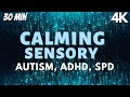 ADHD, Autism, SPD Calming Sensory Music for Anxiety Relief