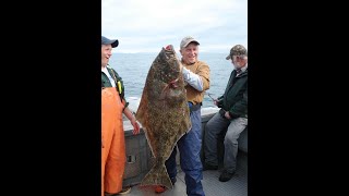 preview picture of video 'Halibut, Thunderod Fishing Adventures'
