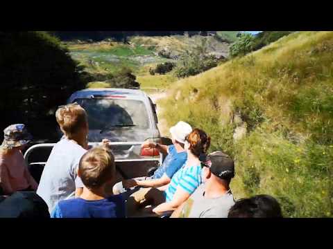 Patuna Chasm - A wander down the Ruakokoputuna River