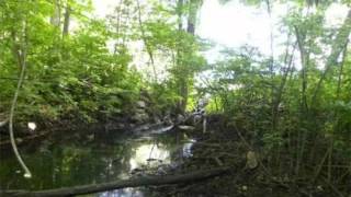 79-D-2 Dresser Hill Rd Charlton, MA 01507 - Land - Real Estate - For Sale -