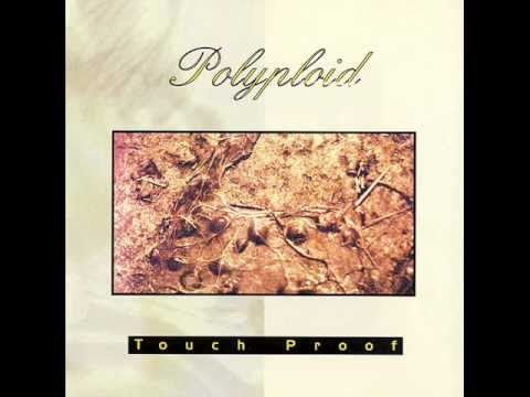 Polyploid - Akousmata
