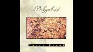 Polyploid - Akousmata