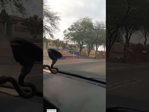 PASSANDO POR JIBOIA CARAÍBAS-BA