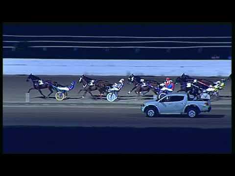 Trotto 04/09/2020 - 7ª corsa