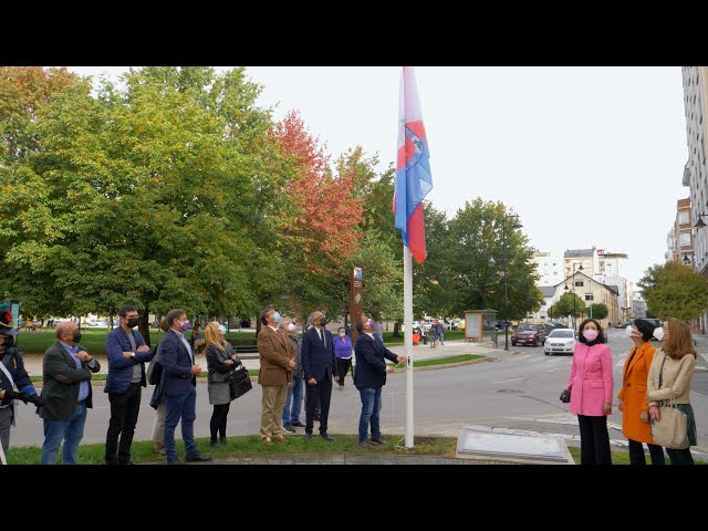 Vídeo relacionado con Bandera de El Bierzo - Colores Oficiales, 150cm x 90cm