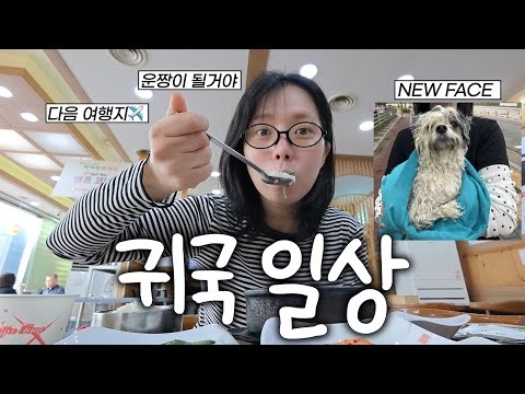 다카마쓰 여행 끝나자마자 또 비행기표 사기^^;; 역마살 쩌는 귀국 일상 브이로그.