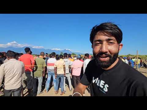 Traditional Cock fight In Assam Village 😳 | Village vlog